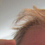 Profile picture of Jan Vanhulle