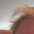Profile picture of Jan Vanhulle